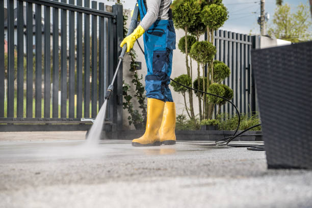 Pre-Holiday Cleaning in La Honda, CA