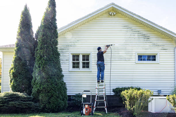Best Roof Washing  in La Honda, CA